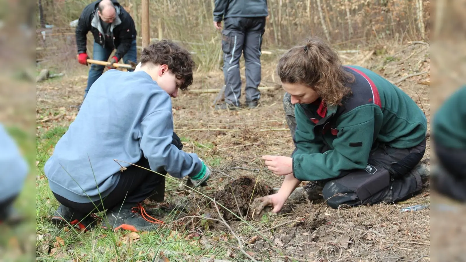 Im Forstamt Schlüchtern werden Schlehen gepflanzt. (Foto: Merkel/HessenForst)
