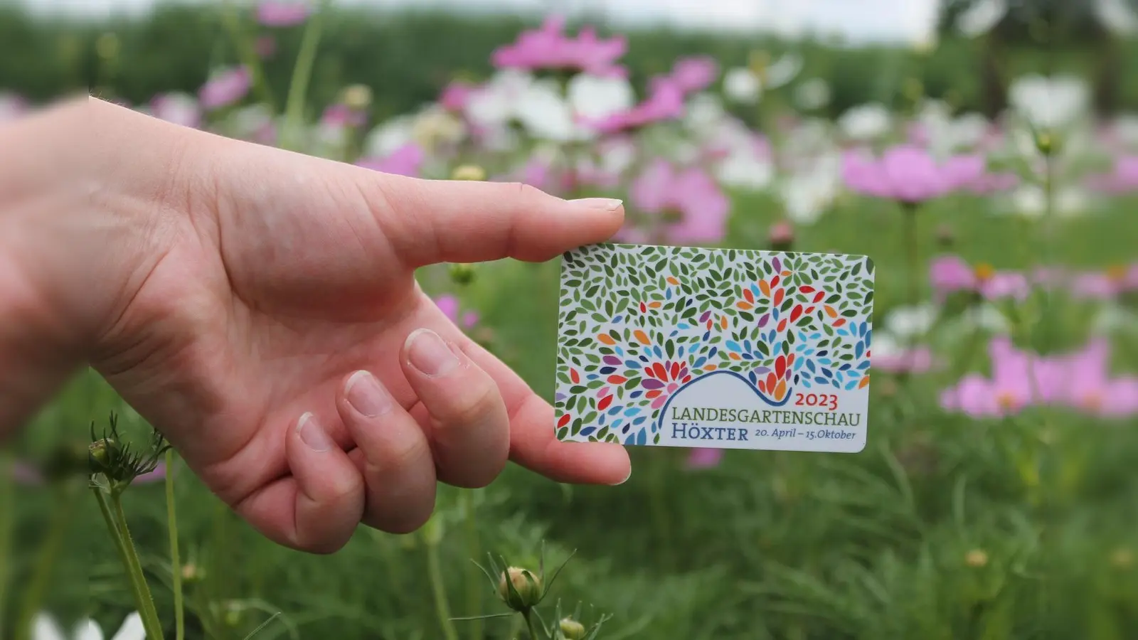 34.000 Dauerkarten hat die Landesgartenschau Höxter inzwischen verkauft. Bis Montag, den 29. Mai, gibt es die Dauerkarte noch rabattiert. Danach endet die Aktion. (Foto: privat)