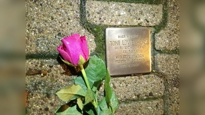 Der Stolperstein für Toni Löwenherz auf dem Gehweg vor dem ehemaligen Wohnhaus der Familie an der Würgasser Straße. (Foto: Heimat- und Geschichtsvereins Lauenförde e.V.)