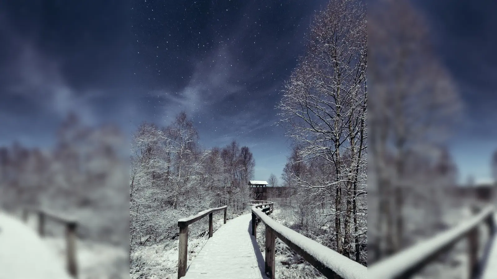 Winterliches Hochmoor Mecklenbruch im Mondlicht. (Foto: M. Goduscheit)