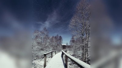 Winterliches Hochmoor Mecklenbruch im Mondlicht. (Foto: M. Goduscheit)