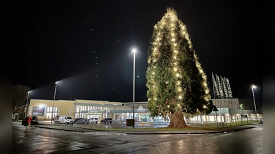 Der sticht ins Auge: Der vermutlich größte Weihnachtsbaum des Kreises steht am Kundenparkplatz des des Baumarktes WEISCHE. (Foto: privat)