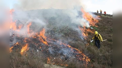 Ein früherer Landschaftsbrand im Harz: Solche gezielt gelegten Vegetationsbrände dienen der Biotoppflege und trainieren die Feuerbekämpfung in den Landesforsten. (Foto: Niedersächsische Landesforsten)