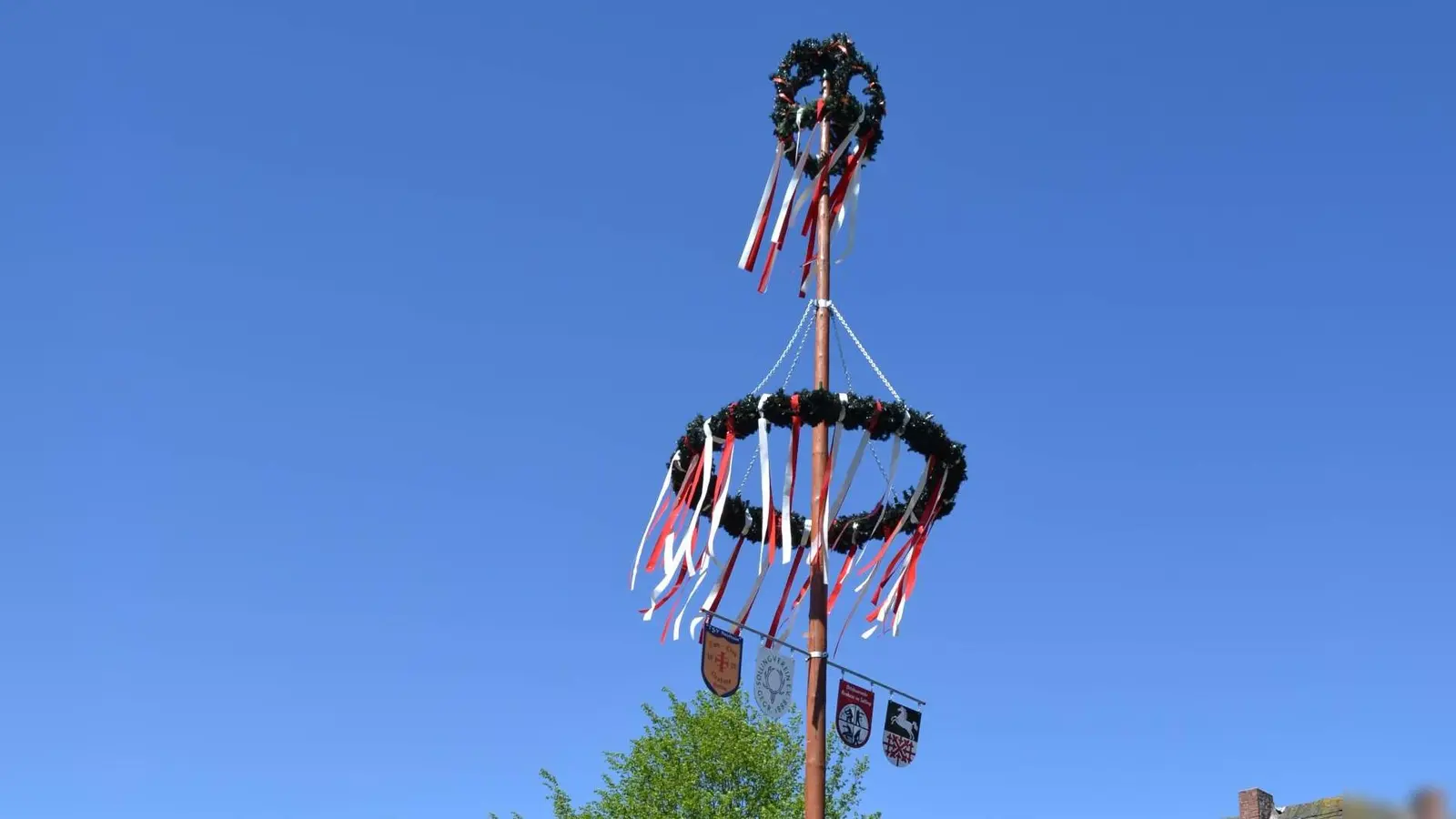 Das Aufstellen des Maibaums wird in Neuhaus und Silberborn angemessen gefeiert. (Foto: privat)